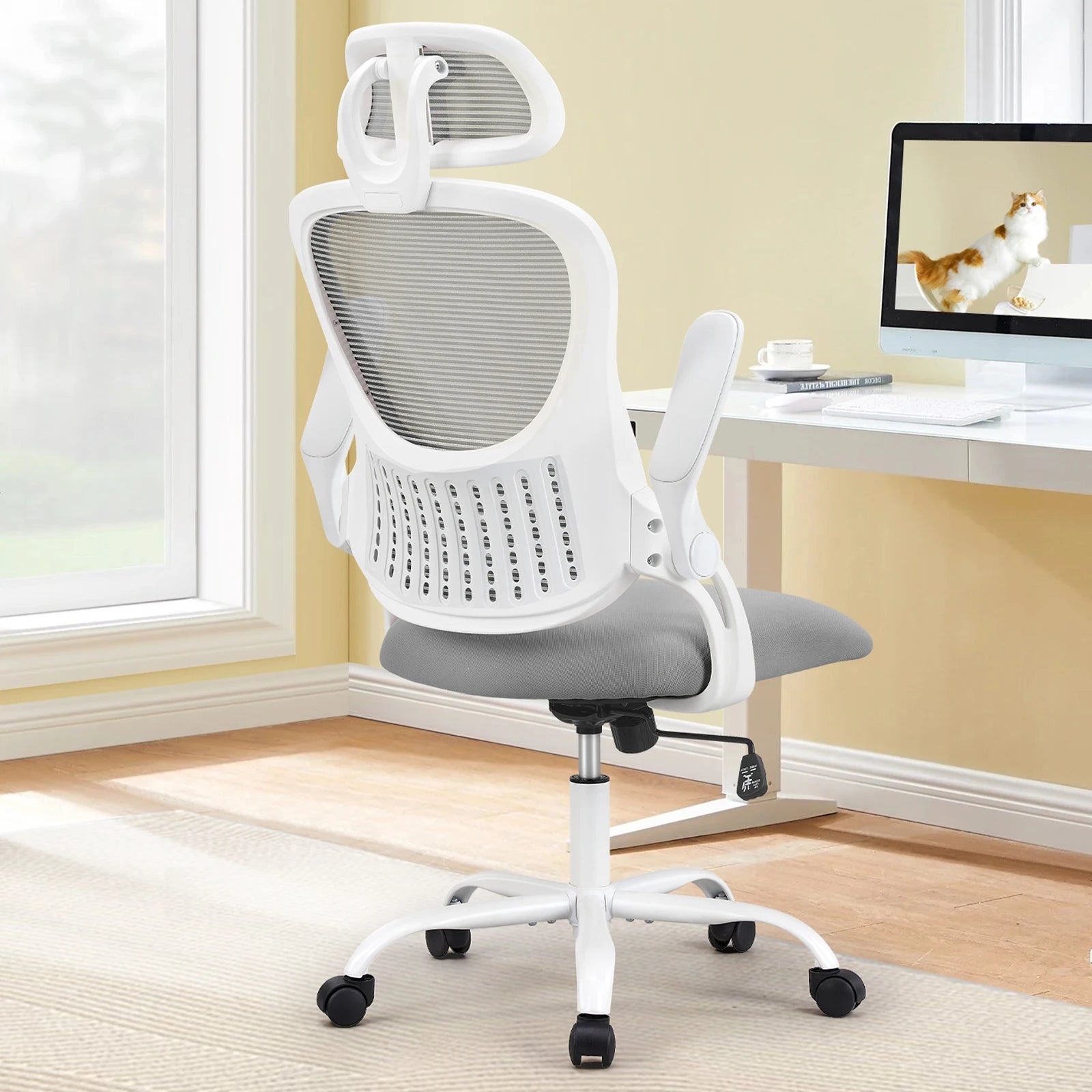 Ergonomic Office Chair