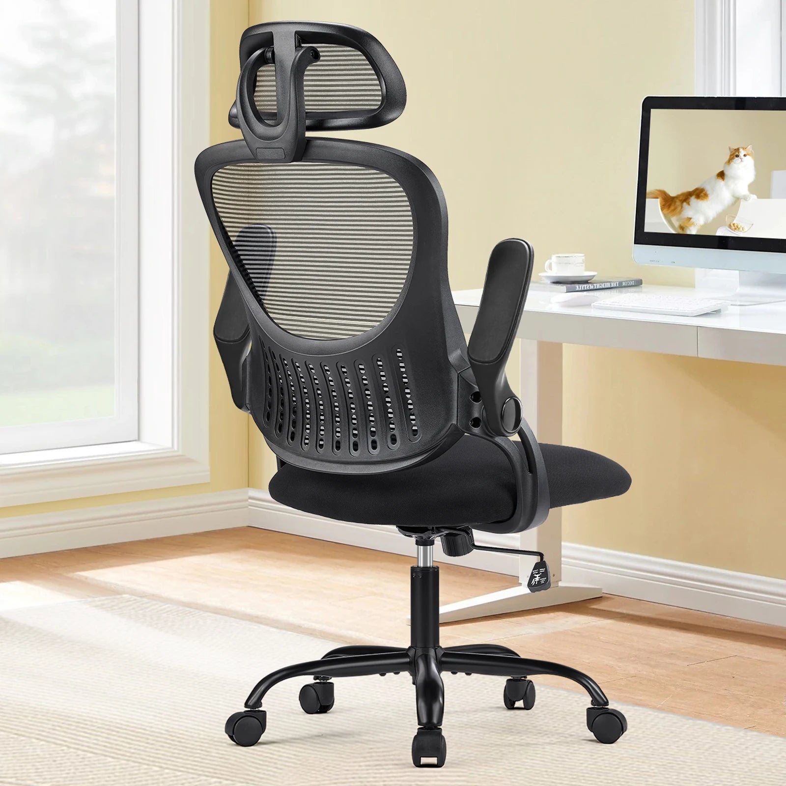 Ergonomic Office Chair